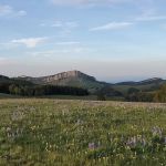 Sibley Lake Campground