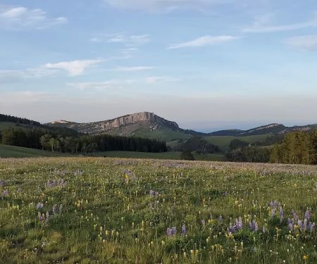 Sibley Lake Campground