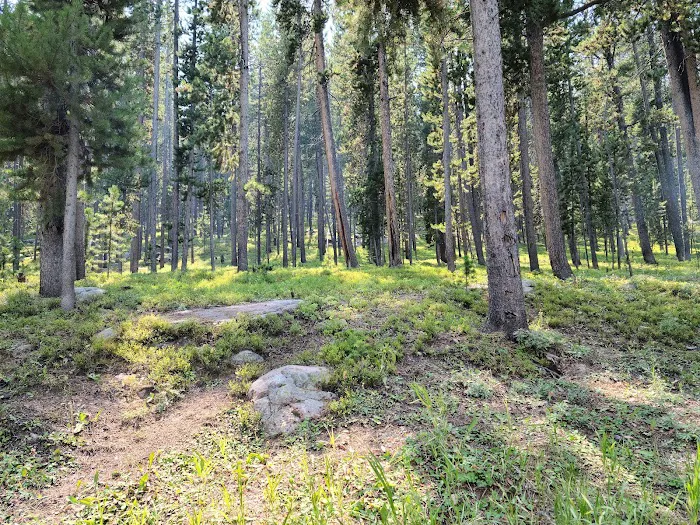 Sibley Lake Campground Picture 3