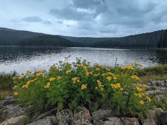 Sibley Lake Campground Picture 6