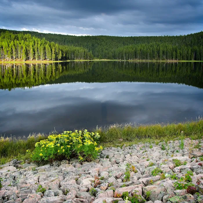 Sibley Lake Campground Picture 5