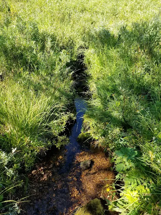 Sibley Lake Campground Picture 8