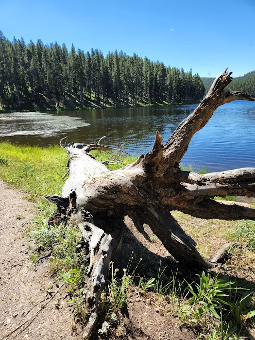 Sibley Lake Campground Picture 6