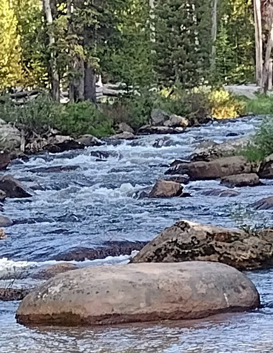 Tie Flume Campground Picture 10
