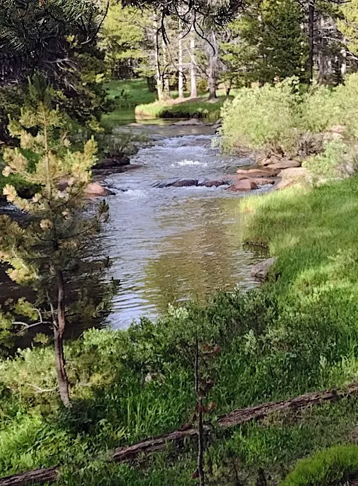 Tie Flume Campground Picture 5