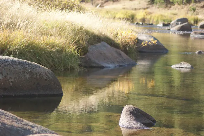 Tie Flume Campground Picture 9