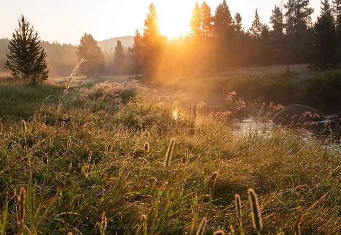 Tie Flume Campground Picture 8