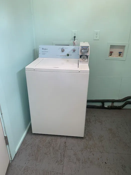 Tiny Woods Campground Picture 5