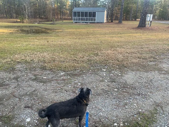 Tiny Woods Campground Picture 10