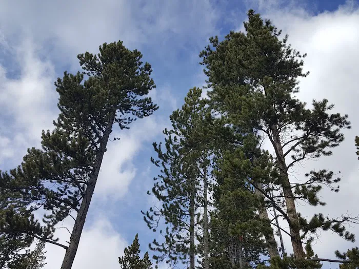 Dead Swede Campground Picture 8