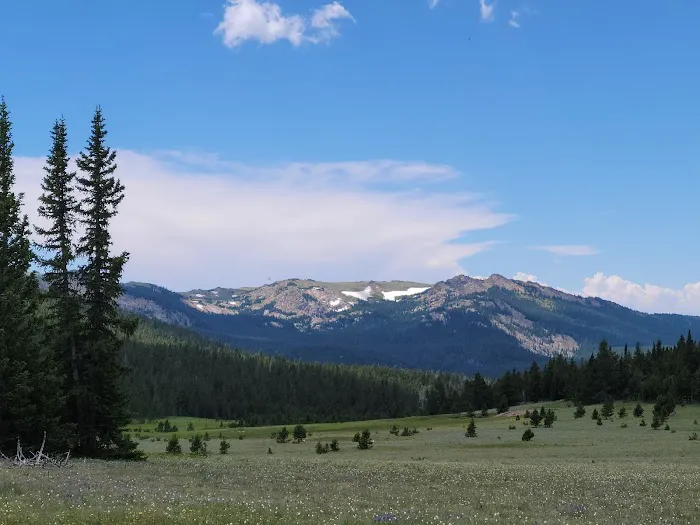 Dead Swede Campground Picture 4