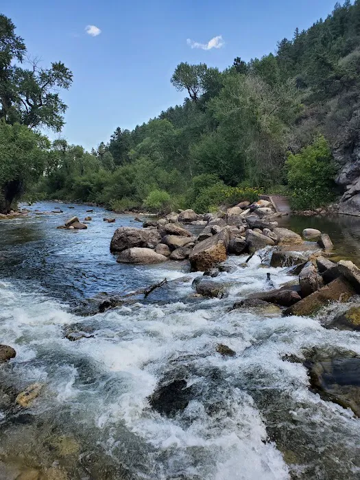 Tongue River Campground Picture 4