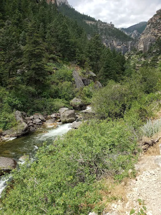 Tongue River Campground Picture 10