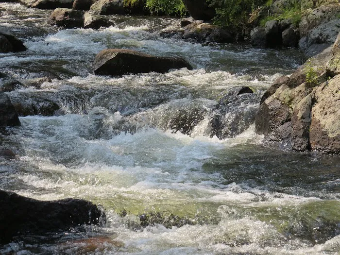 Shell Creek Campground Picture 7