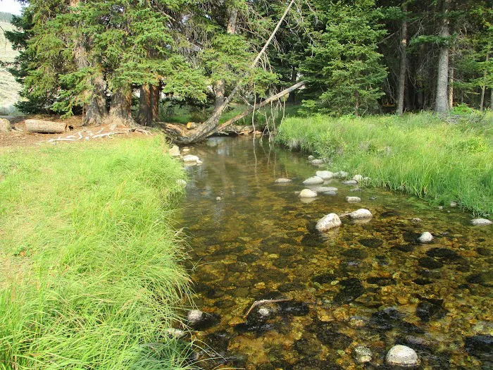 Shell Creek Campground Picture 1