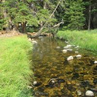 Shell Creek Campground ico