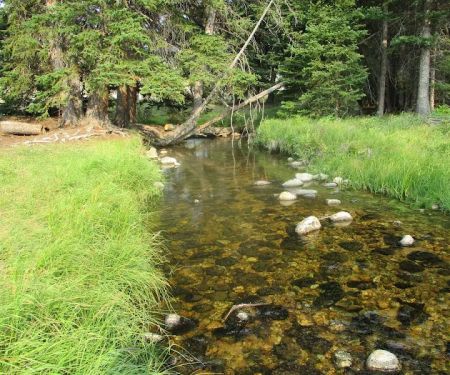 Shell Creek Campground