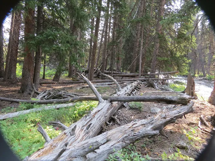 Shell Creek Campground Picture 6