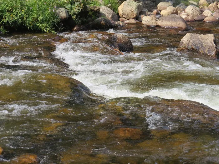 Shell Creek Campground Picture 5