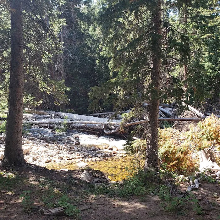 Shell Creek Campground Picture 9