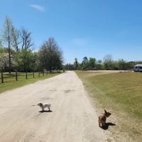 Millen RV Park & Campground ico