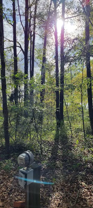 Millen RV Park & Campground Picture 9