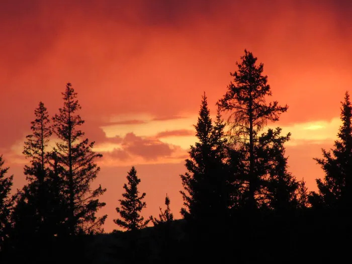 Ranger Creek Campground Picture 7