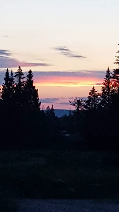 Ranger Creek Campground Picture 3