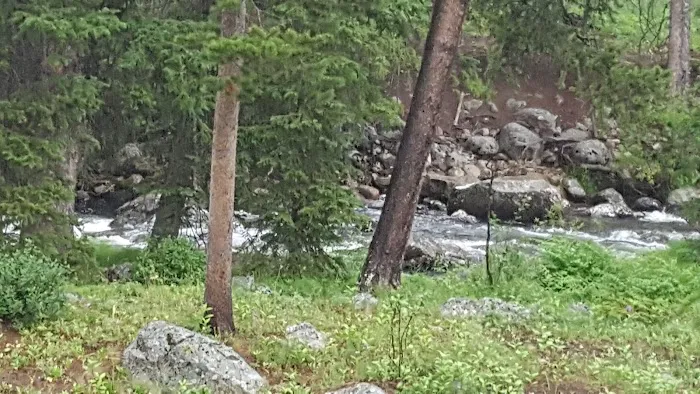 Ranger Creek Campground Picture 8