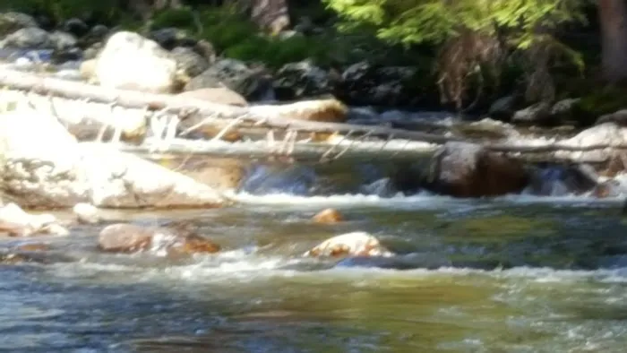 Ranger Creek Campground Picture 4