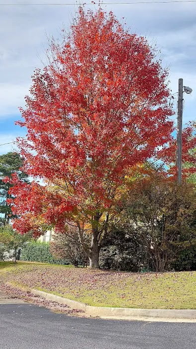 Happy Valley Mobile Home Park Picture 6