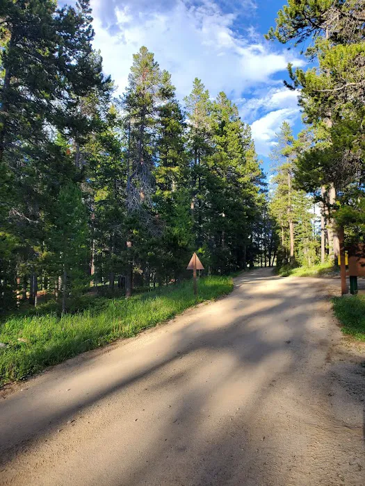 Ranger Creek Campground Picture 6