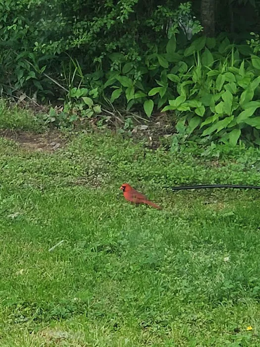 Sweetwater Creek RV Reserve Picture 9