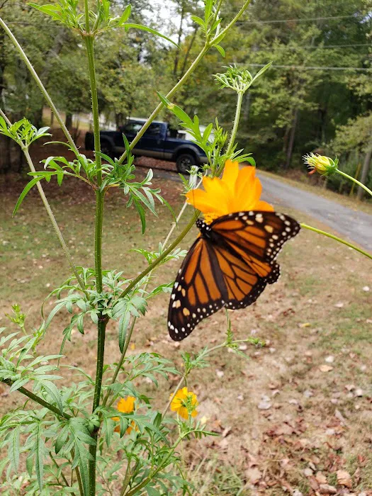 Mountain View Mobile Home & RV Park Picture 10