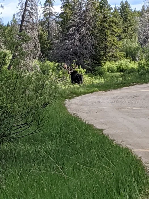East Fork Campground Picture 10