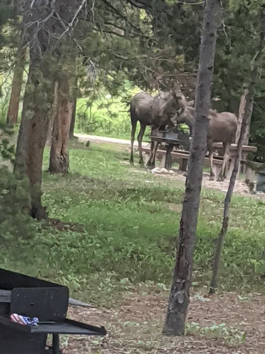 East Fork Campground Picture 3