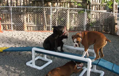 Greybull KOA Holiday Picture 8