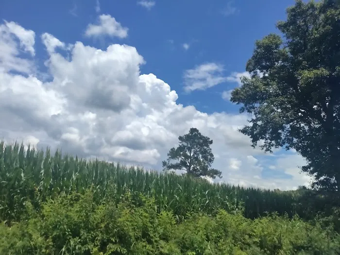 Cartersville Picture 1