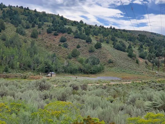 Francis Cove Campground Picture 5