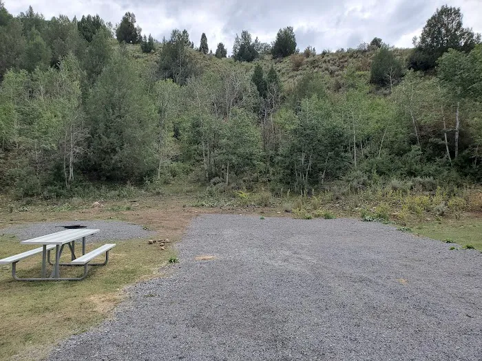 Francis Cove Campground Picture 2