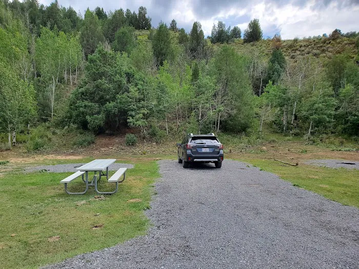 Francis Cove Campground Picture 8