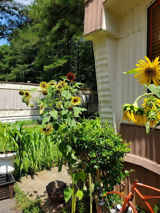 Deer Creek Picture 3