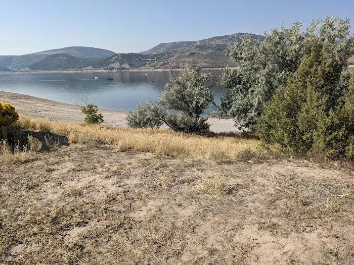 Lariat Loop Group Campground Picture 4