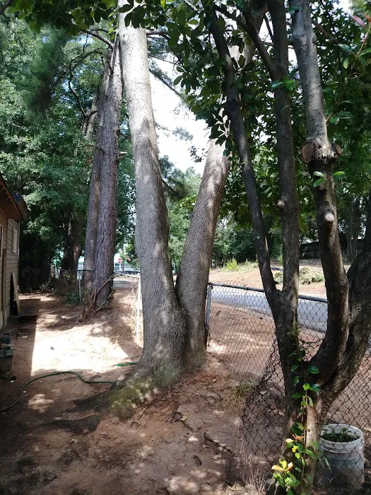 Clayton Village Mobile Home Park Picture 7