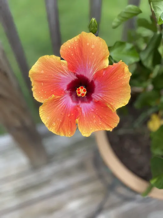 Audubon Estates Picture 6