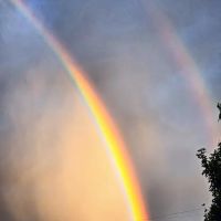 Hawthorne Campground ico