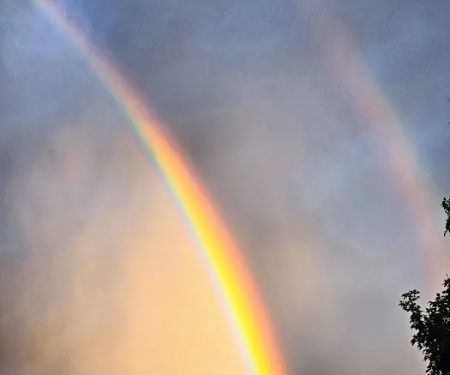 Hawthorne Campground