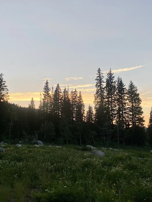 Redman Campground Picture 2