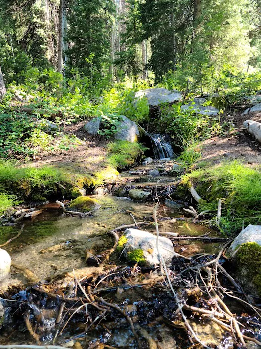 Redman Campground Picture 5