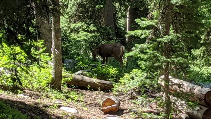 Redman Campground Picture 9